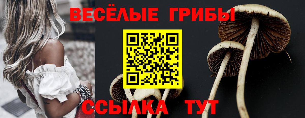 Псилоцибиновые грибы Cubensis  Псилоцибиновые грибы Psilocybine cubensis  Вход с VPN  дарнет шоп  Кстово 